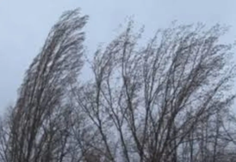 Prognoza meteo 6 februarie. Vremea extremelor: cod portocaliu de vânt puternic și temperaturi de 20 de grade