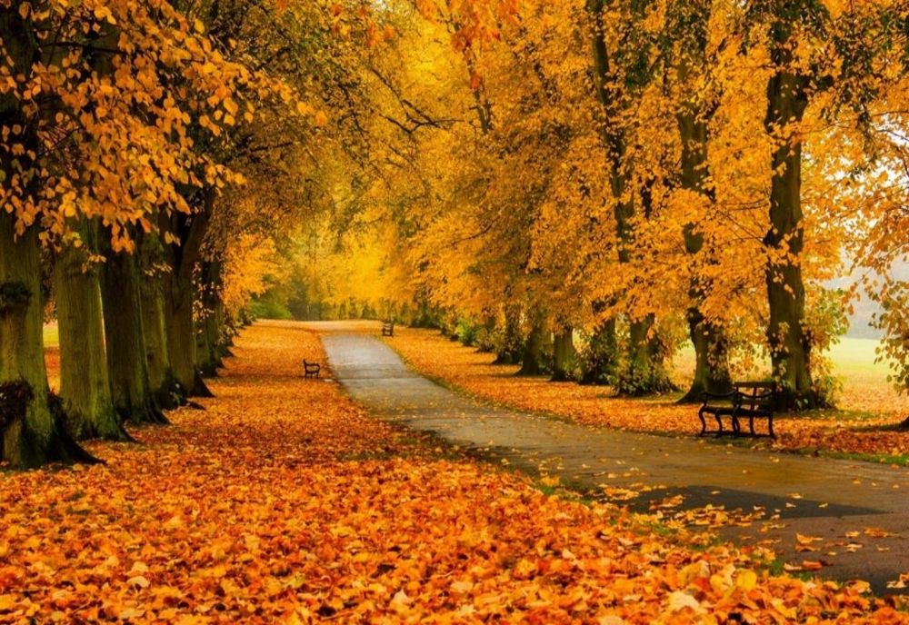 Prognoza meteo pe o lună. Cum a fi vremea în noiembrie