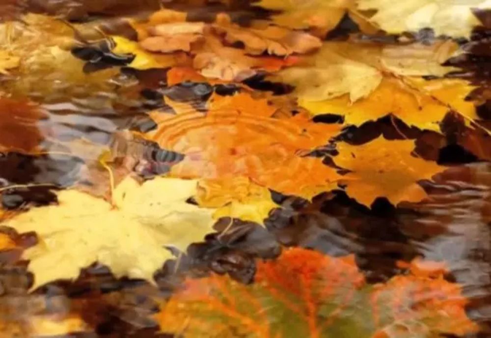 Prognoza meteo - Scad temperaturile în toată țara