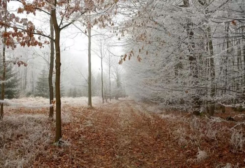 Vremea 15 noiembrie - Ploi și ninsori la munte