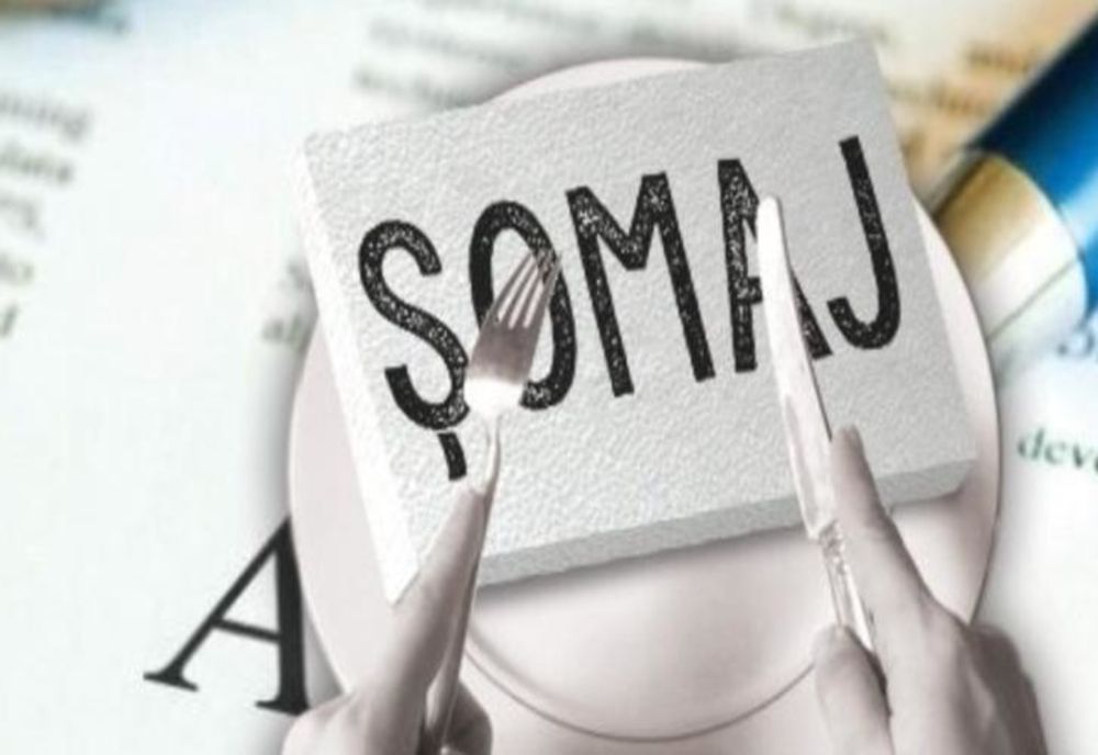 INS: Rata șomajului a scăzut 