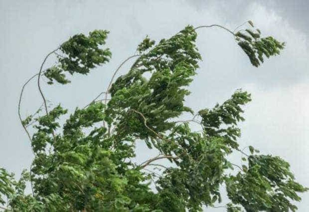 ALERTĂ METEO: COD GALBEN DE VÂNT PUTERNIC